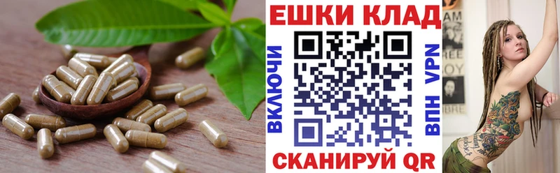 Ecstasy XTC  где купить наркотик  Анива 