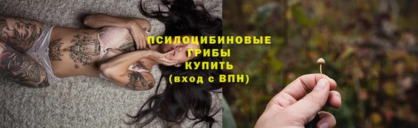 гидра Нязепетровск