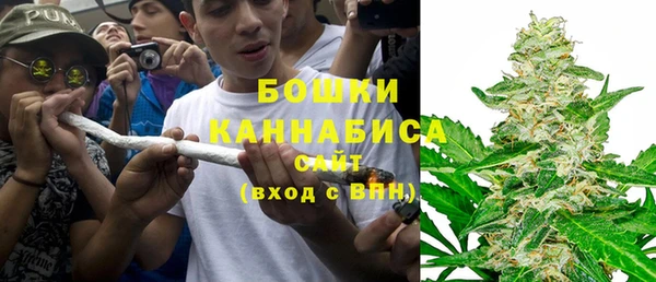 гидра Нязепетровск