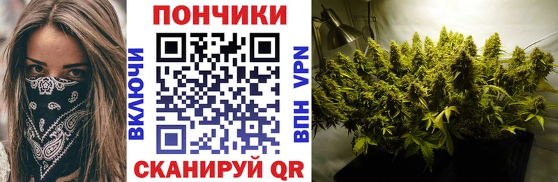 даркнет сайт  Анива  Бошки марихуана OG Kush 